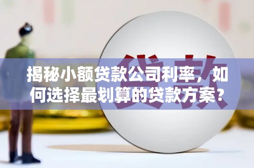岭东揭秘小额贷款公司利率，如何选择最划算的贷款方案？