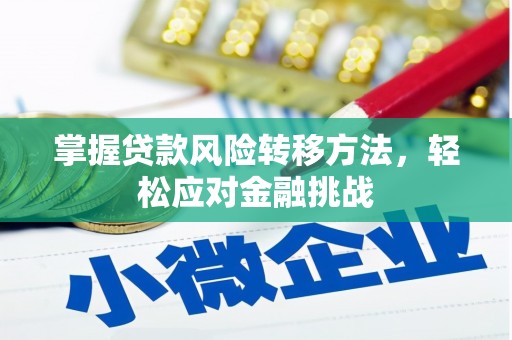 福建掌握贷款风险转移方法，轻松应对金融挑战