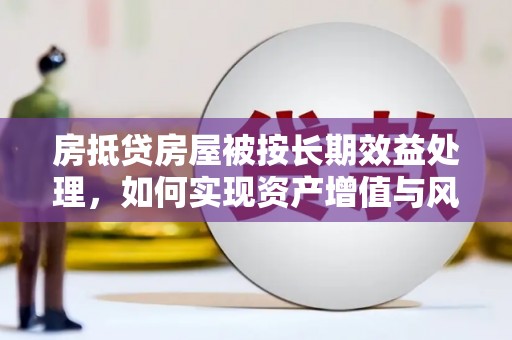 独山子房抵贷房屋被按长期效益处理，如何实现资产增值与风险控制