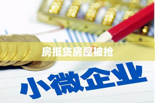 惠农房抵贷房屋被抢
