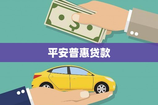 龙陵平安普惠贷款