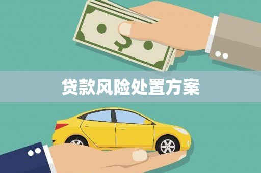 彰化市贷款风险处置方案