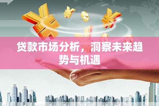 巧家贷款市场分析，洞察未来趋势与机遇