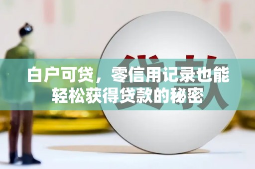 龙陵白户可贷，零信用记录也能轻松获得贷款的秘密