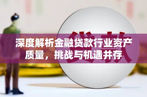 龙陵深度解析金融贷款行业资产质量，挑战与机遇并存