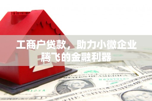 旗津工商户贷款，助力小微企业腾飞的金融利器