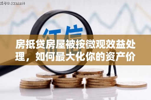 禹会房抵贷房屋被按微观效益处理，如何最大化你的资产价值？