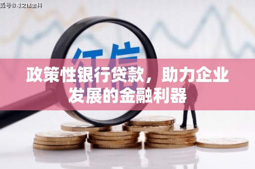 罗庄政策性银行贷款，助力企业发展的金融利器
