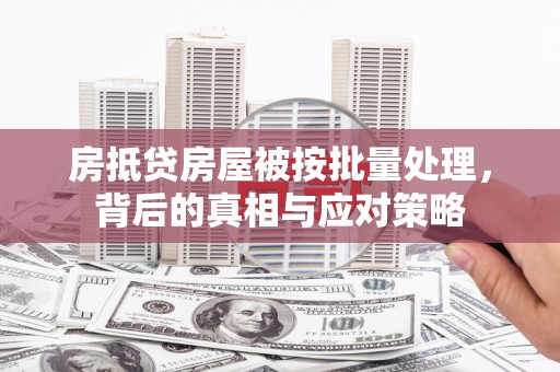 点军房抵贷房屋被按批量处理，背后的真相与应对策略