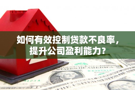 岳西如何有效控制贷款不良率，提升公司盈利能力？