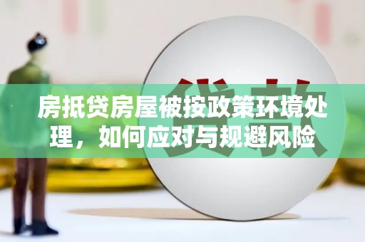 南康房抵贷房屋被按政策环境处理，如何应对与规避风险