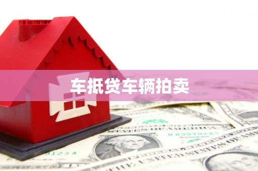富宁车抵贷车辆拍卖
