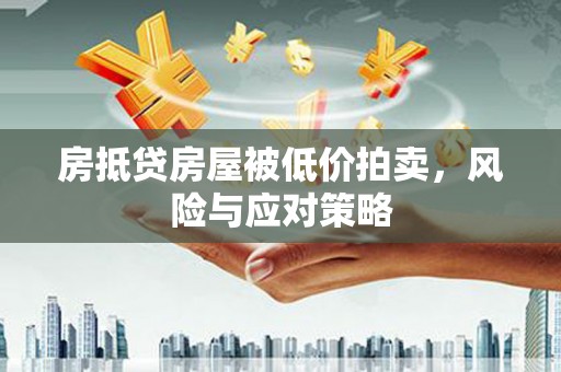 乐陵房抵贷房屋被低价拍卖，风险与应对策略
