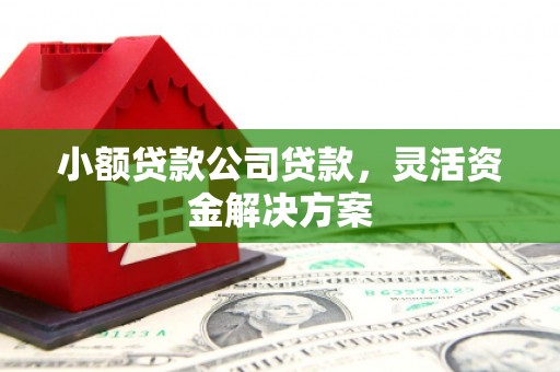 五通桥小额贷款公司贷款，灵活资金解决方案