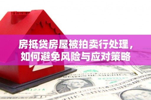 嫩江房抵贷房屋被拍卖行处理，如何避免风险与应对策略