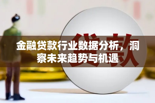 格尔木金融贷款行业数据分析，洞察未来趋势与机遇