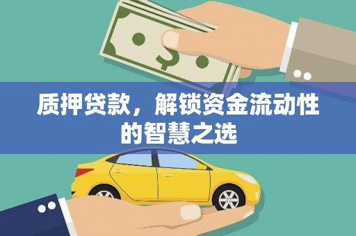 龙子湖质押贷款，解锁资金流动性的智慧之选