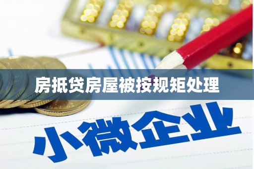 宁远房抵贷房屋被按规矩处理