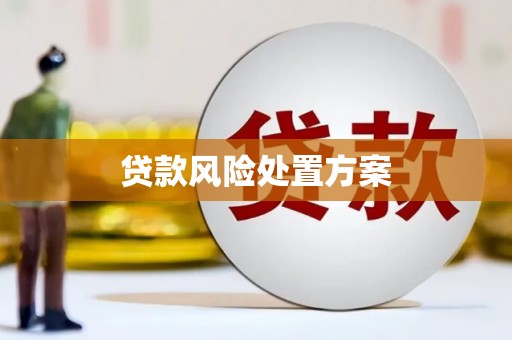 长涂贷款风险处置方案