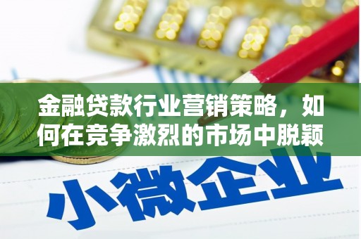 莆田金融贷款行业营销策略，如何在竞争激烈的市场中脱颖而出