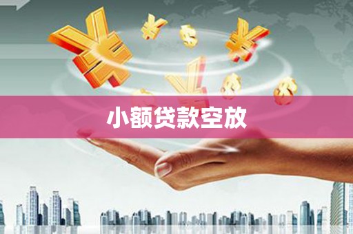 海安小额贷款空放