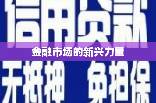 逊克金融市场的新兴力量