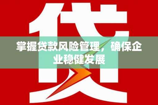 嘉黎掌握贷款风险管理，确保企业稳健发展