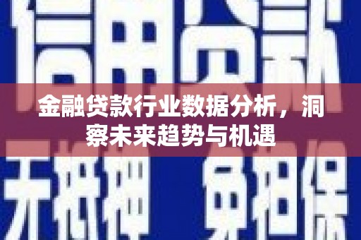 嘉黎金融贷款行业数据分析，洞察未来趋势与机遇