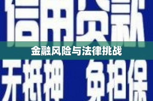 广德金融风险与法律挑战