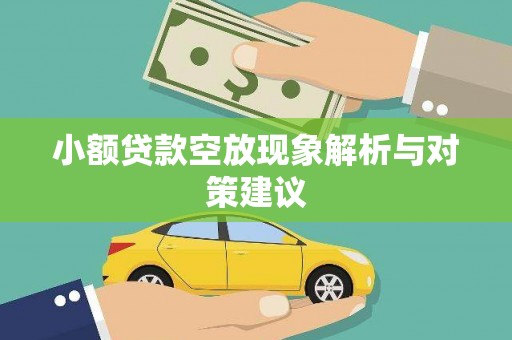 盈江小额贷款空放现象解析与对策建议