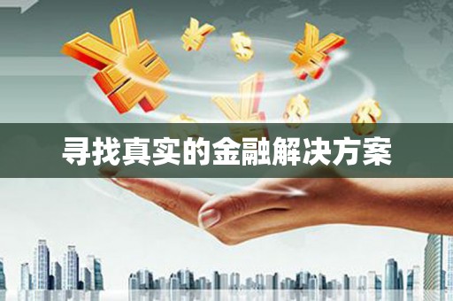 鞍山寻找真实的金融解决方案