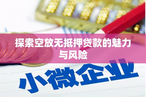 海棠探索空放无抵押贷款的魅力与风险