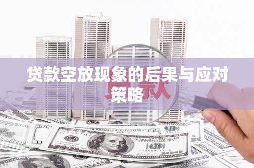 芙蓉贷款空放现象的后果与应对策略