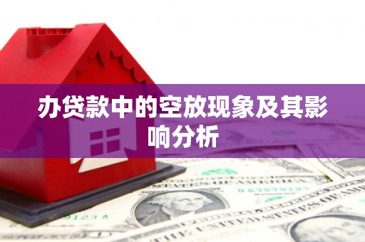 十堰办贷款中的空放现象及其影响分析