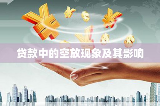 和美贷款中的空放现象及其影响