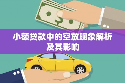 十堰小额贷款中的空放现象解析及其影响