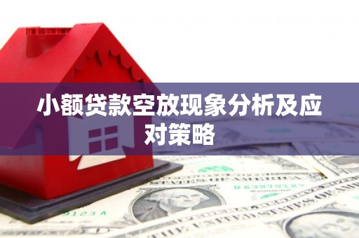 蓬江小额贷款空放现象分析及应对策略