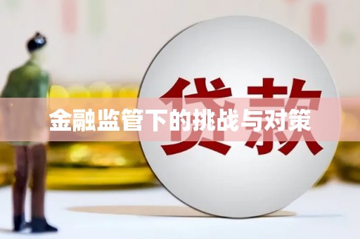 东引金融监管下的挑战与对策