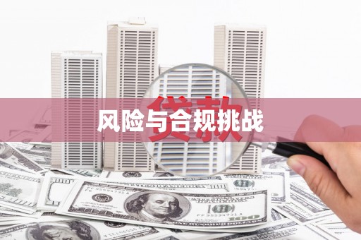 左云风险与合规挑战