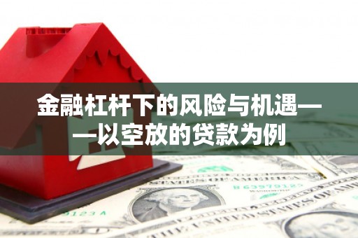 永泰金融杠杆下的风险与机遇——以空放的贷款为例