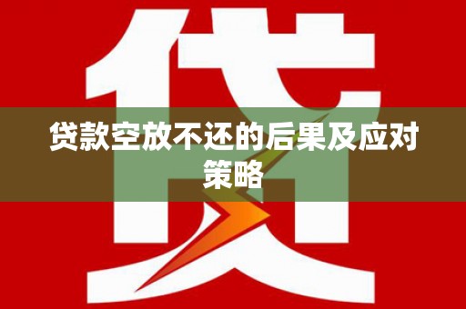 聂荣贷款空放不还的后果及应对策略
