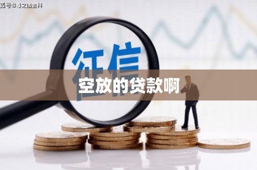 赫山空放的贷款啊
