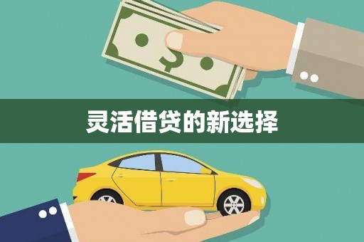 黎平灵活借贷的新选择