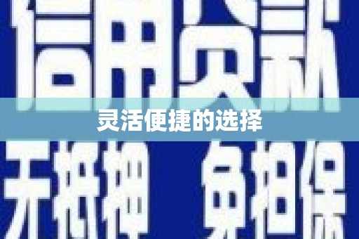 黎平灵活便捷的选择