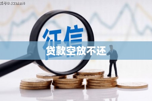环翠贷款空放不还