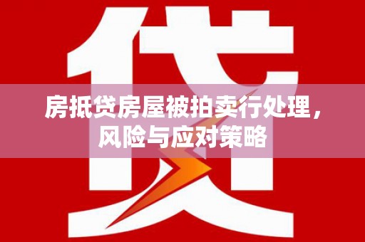 陆丰房抵贷房屋被拍卖行处理，风险与应对策略
