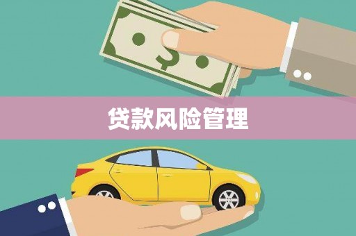 漳州贷款风险管理