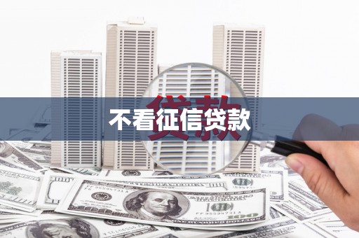 滴道不看征信贷款
